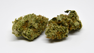 360 Cannibis 3D Product Photography by VPiX